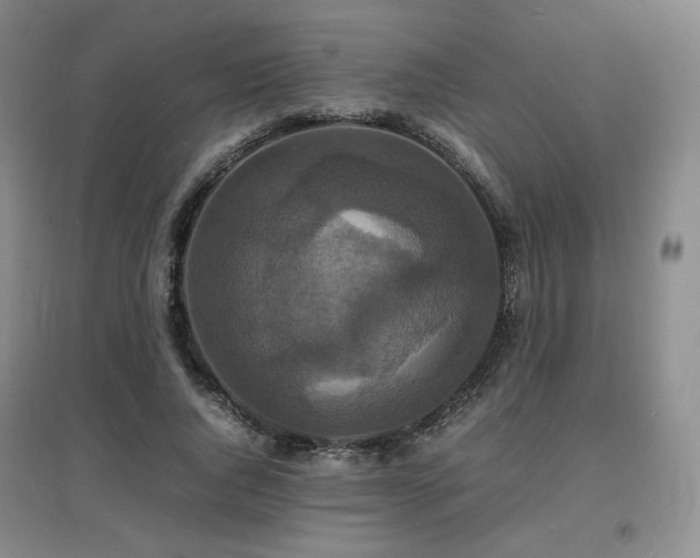 X0000097620736200802291325