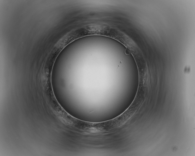 X0000097620737200802291325