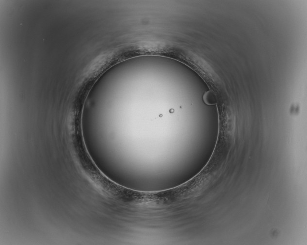 X0000097620738200802291325