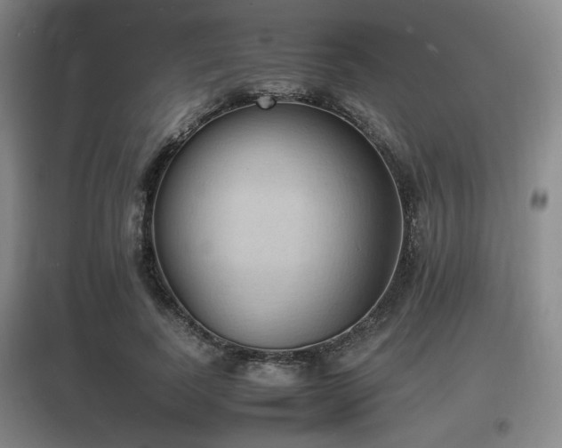 X0000097620739200802291325