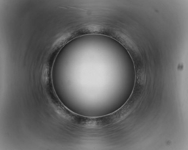 X0000097620740200802291325