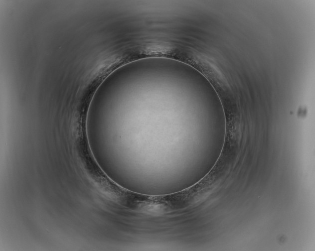 X0000097620743200802291325