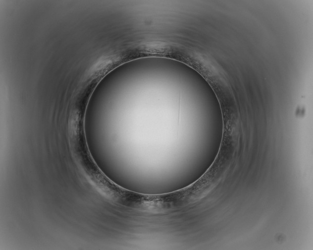 X0000097620744200802291325