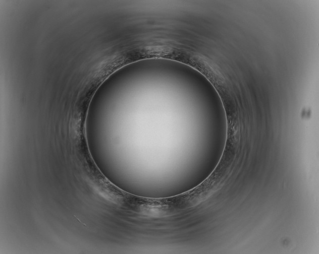 X0000097620745200802291325