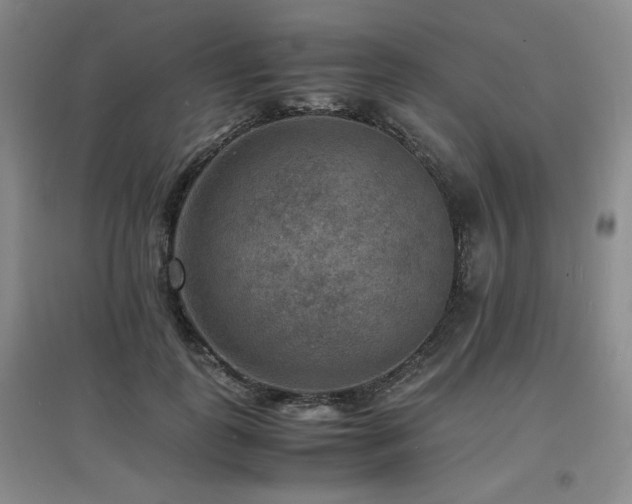 X0000097620747200802291325