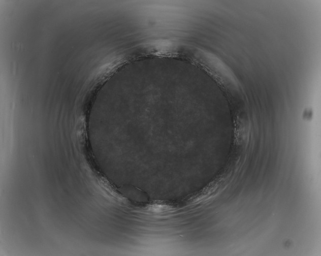X0000097620748200802291325