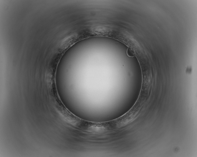 X0000097620749200802291325