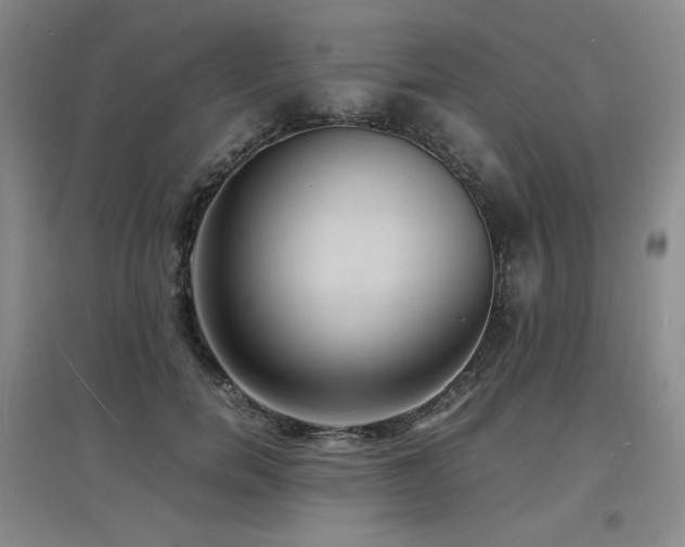 X0000097620750200802291325