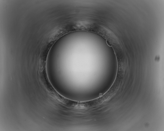 X0000097620751200802291325
