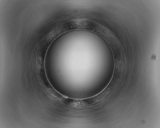 X0000097620752200802291325
