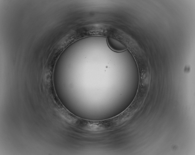 X0000097620753200802291325