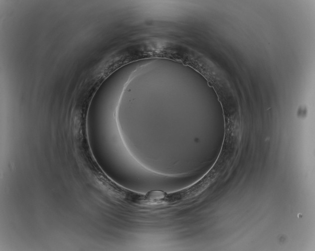 X0000097620754200802291325