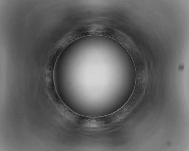 X0000097620755200802291325