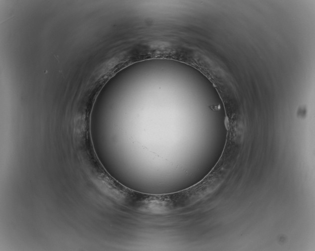 X0000097620756200802291325