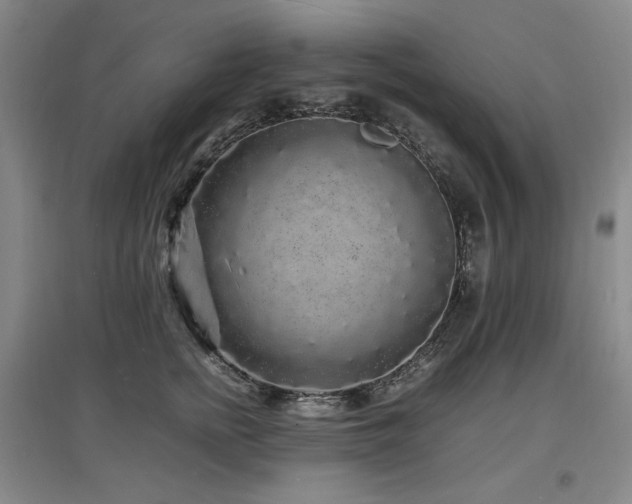 X0000097620758200802291325