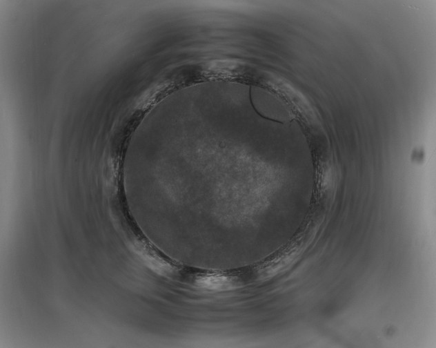 X0000097620759200802291325