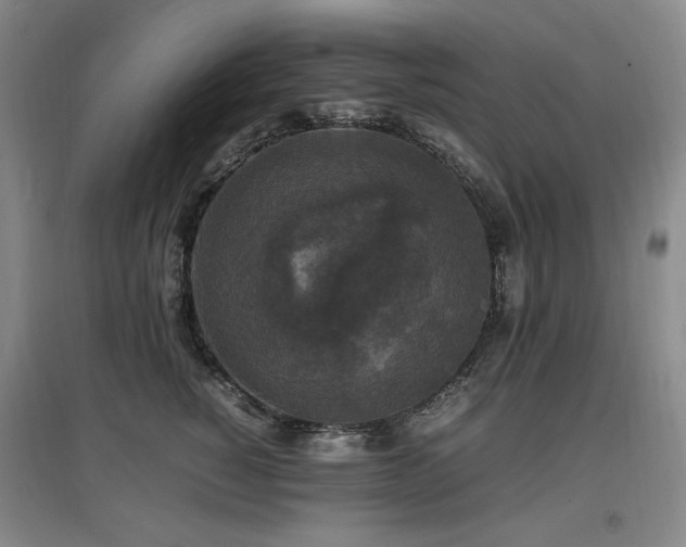 X0000097620760200802291325