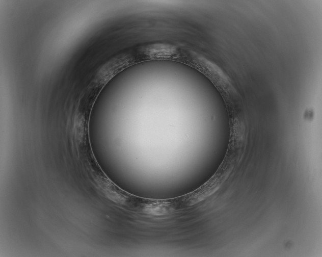 X0000097620761200802291325