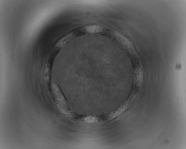 X0000097620762200802291325