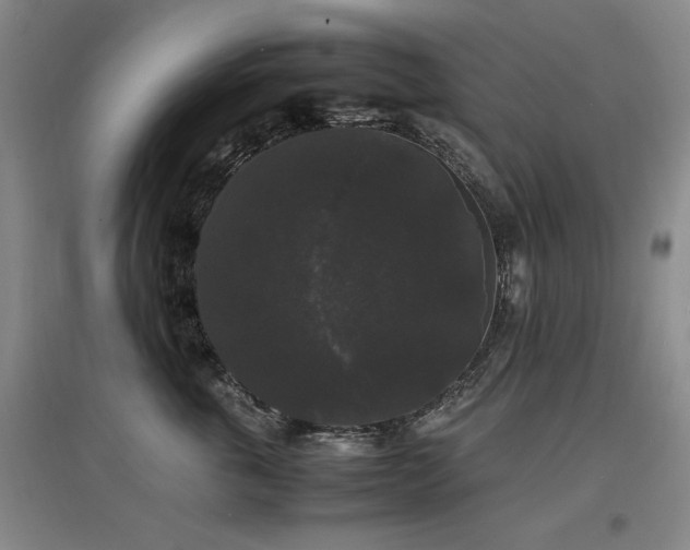 X0000097620763200802291325