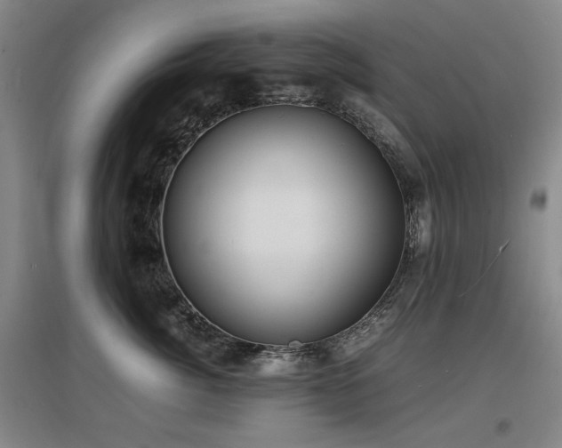 X0000097620764200802291325