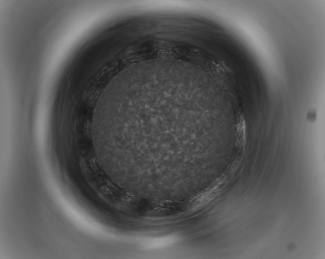 X0000097620765200802291325