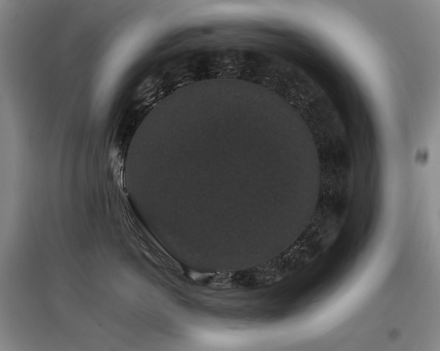 X0000097620766200802291325