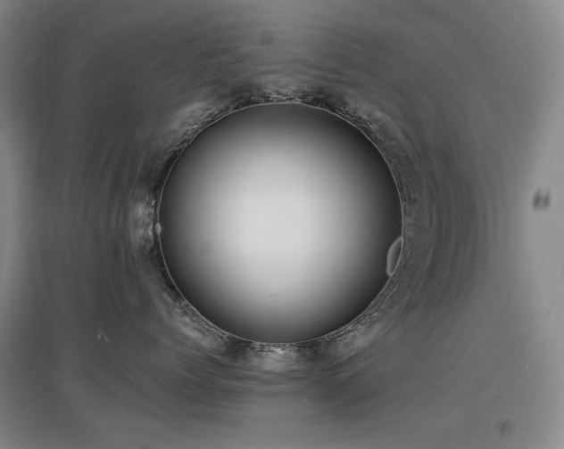 X0000097620768200802291326