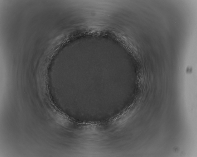 X0000097620769200802291325