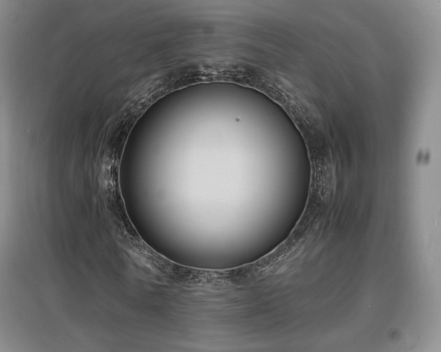 X0000097620770200802291325