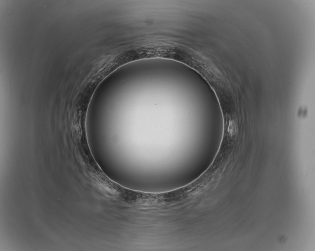X0000097620771200802291325