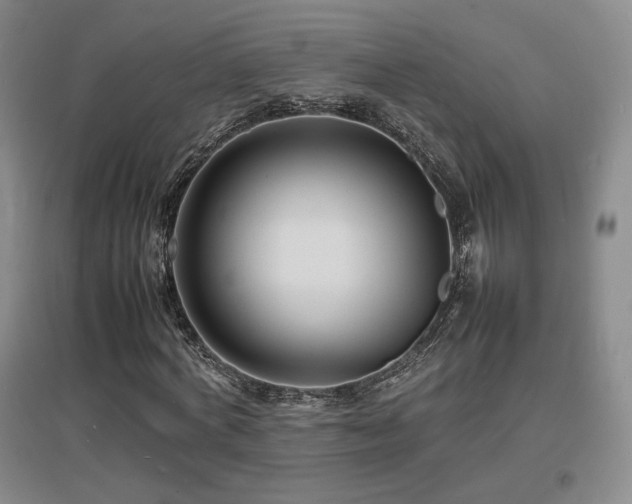 X0000097620772200802291325
