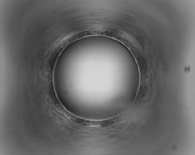X0000097620773200802291325