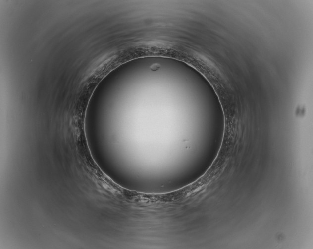 X0000097620774200802291325