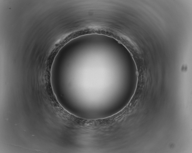 X0000097620776200802291325