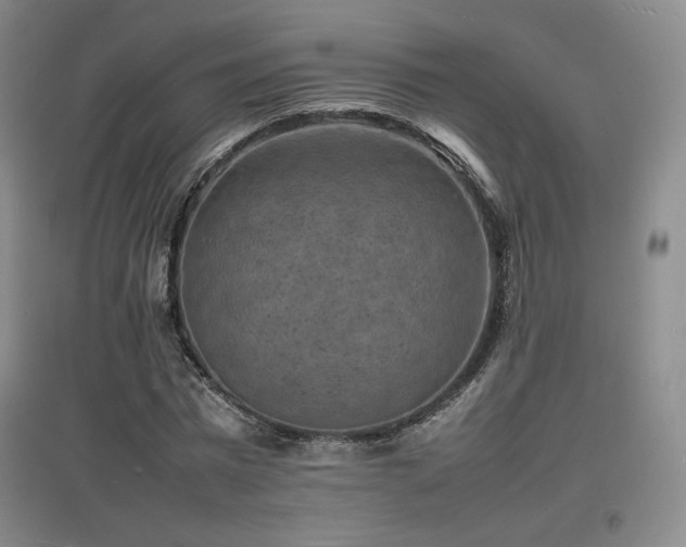 X0000097620777200802291325
