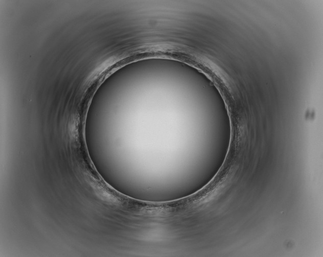 X0000097620778200802291325