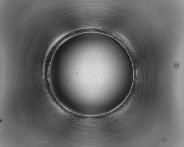 X0000097620780200802291325