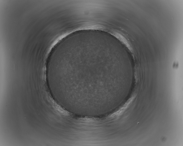 X0000097620781200802291325