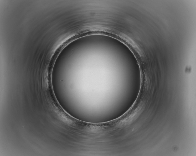 X0000097620782200802291325