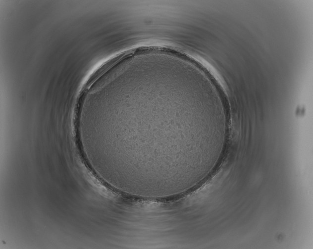 X0000097620783200802291325