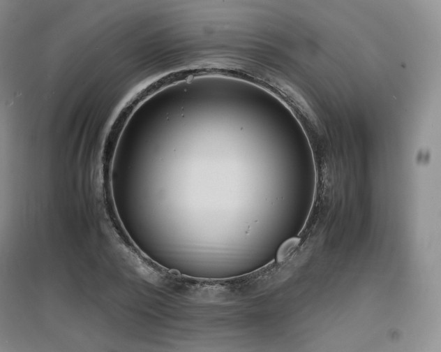 X0000097620784200802291325