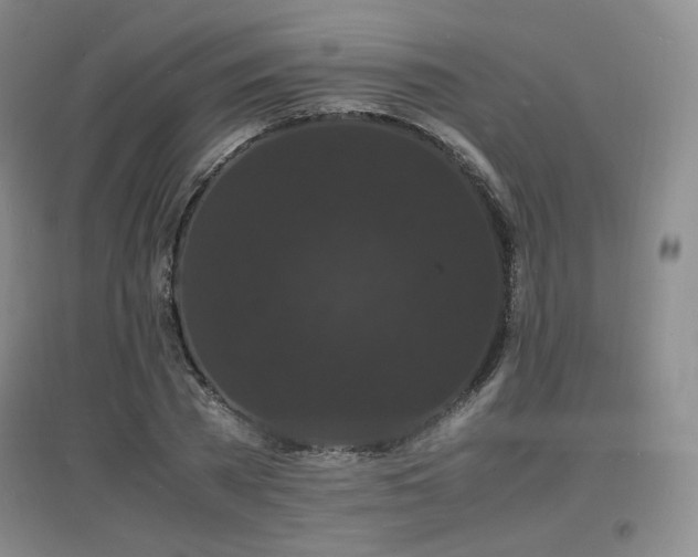 X0000097620785200802291325
