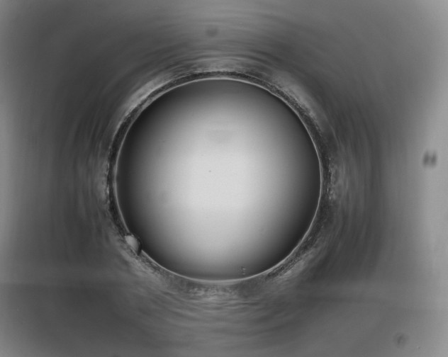 X0000097620786200802291325