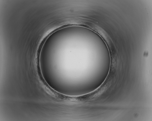X0000097620787200802291324