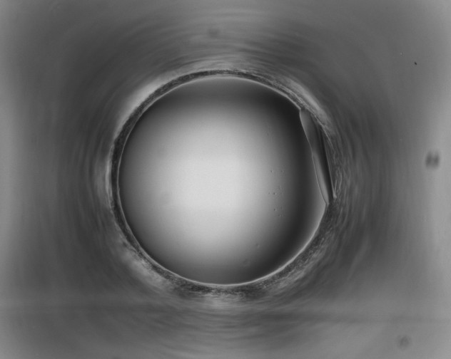 X0000097620788200802291324