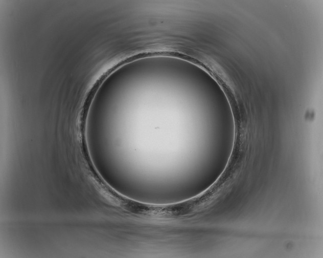 X0000097620789200802291324