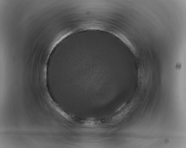 X0000097620790200802291324