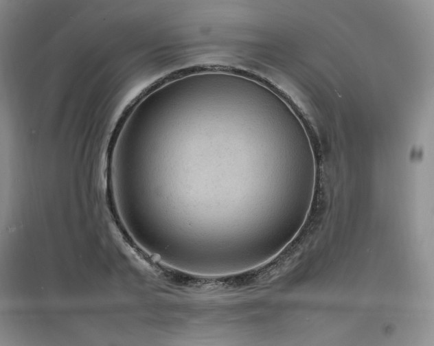 X0000097620791200802291324