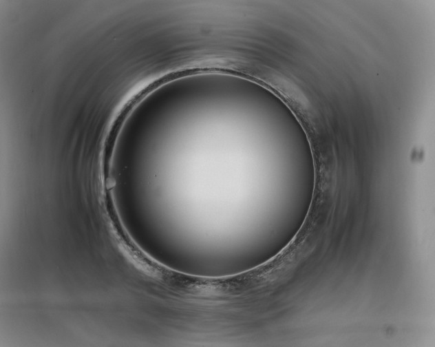 X0000097620792200802291324